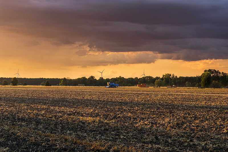 Kombajny na polu o zachodzie słońca - rolnictwo; NRL Nature Restoration Law